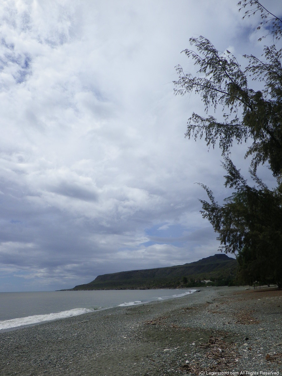 Beach - Altantic29.jpg